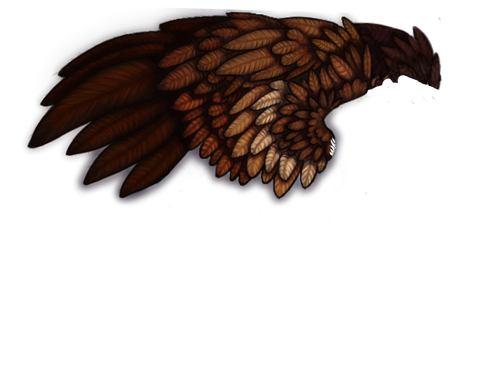tigon wing F.png