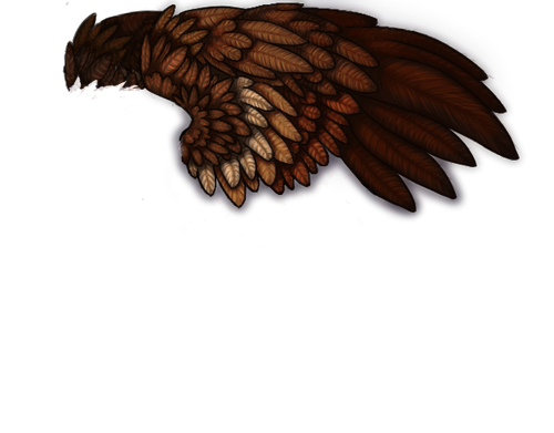 tigon wing M.png