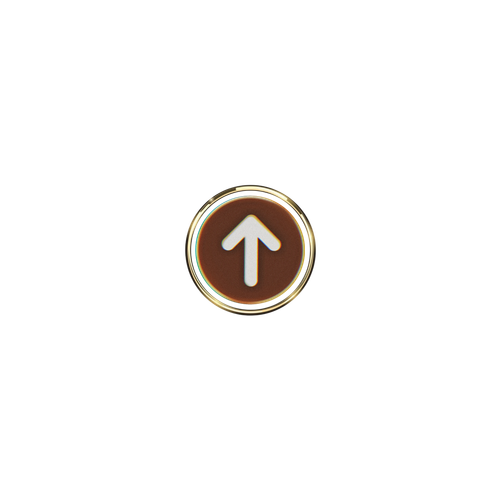 1000025455.png