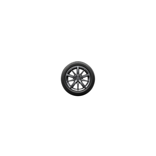 1000025449.png