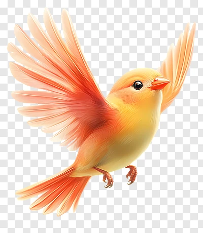 1000035859.webp