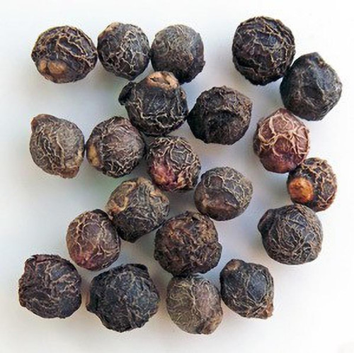 500 malabar spinach seeds kush o.jpg