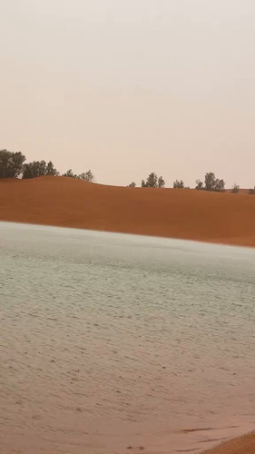 hLZzYAr9a 2d ld2.jpg