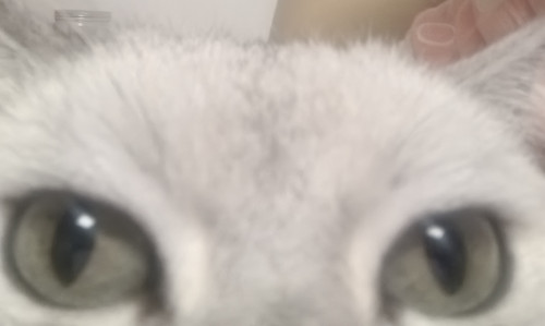 IMG 20250519 235444.jpg