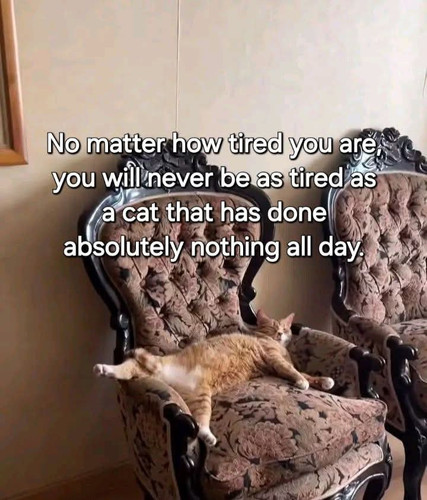 GrTdNNxXkAA7Xas.jpg