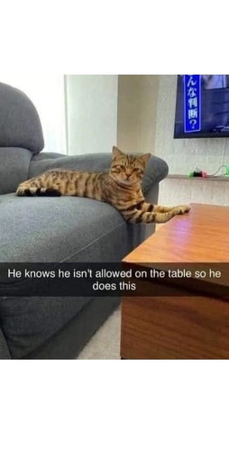 GrTdNLPXwAAlAqr.jpg