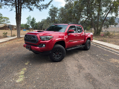 WhatsApp Image 2025 05 19 at 12.42.28 (1).jpg