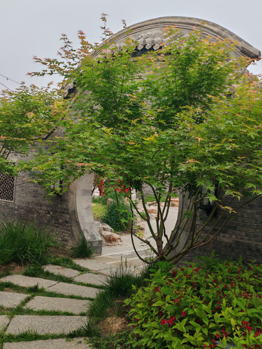 IMG 20250512 184737.jpg