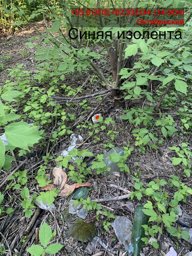 окт (2).1