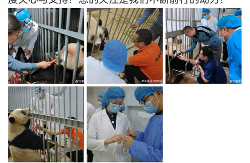 Screenshot 20250520 103152 com.sina.weibo edit 104884885932953.jpg