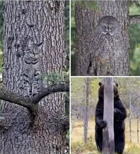 GrViQCmXkAAeaIl.jpg