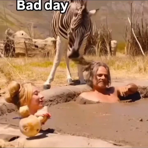 lpYoLXPoQ ZOz1uq.jpg