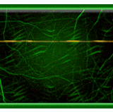 daftar rastatoto.gif