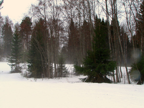 IMG 0637 1.jpg