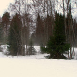 IMG 0637 1
