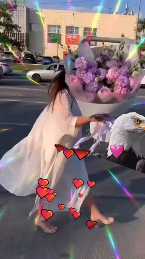 nbkFmnXHh9LAKzuL.jpg