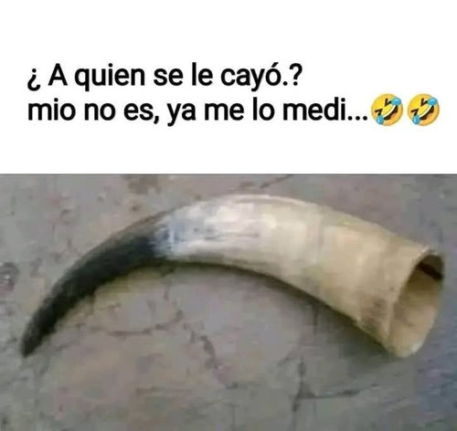 497536477 733389452451537 5188638300512733618 n.jpg