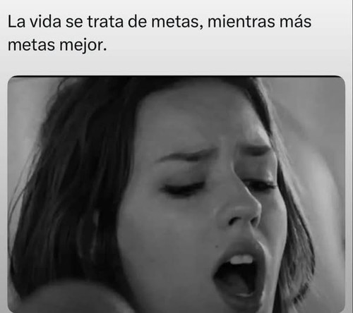 497513846 1448826529893645 4089958477104599500 n.jpg