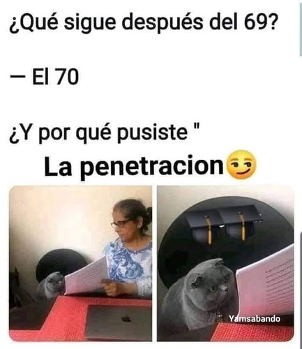 497530439 609793315409232 8306323825147141989 n.jpg