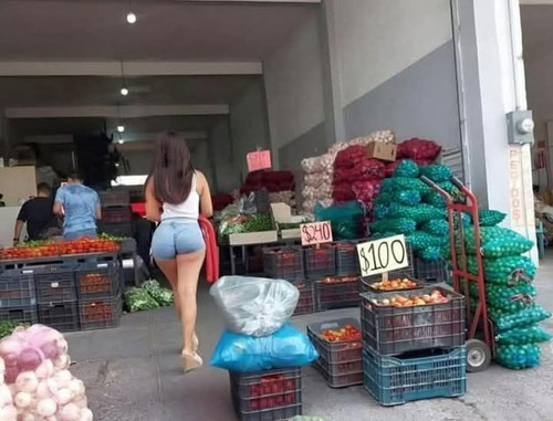 474907172 965458429104950 8405880741771964336 n.jpg