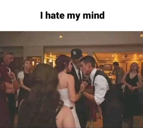 498595033 122111369954854908 7216080157605723432 n.jpg