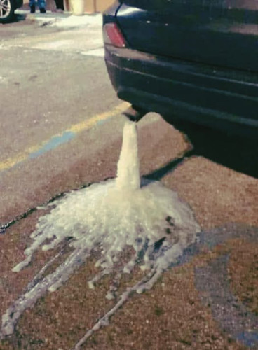 493215368 585894227905854 3341104880166467198 n.jpg