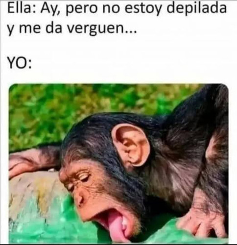 494682491 10235102637485222 7629052766922421527 n.jpg