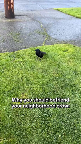 kAHTLOLB MWYRXR5.jpg