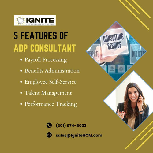 5 Features of ADP Consultant.jpg
