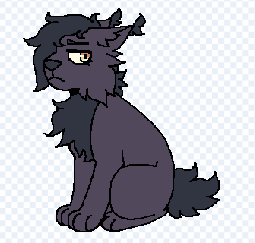 IMG 1603.png