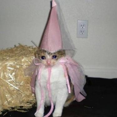 piremsescat.jpg