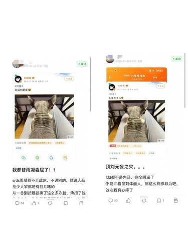 1000061701.jpg