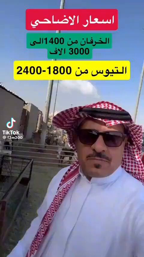 qqa i86ghQjU781E.jpg