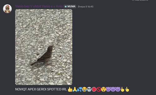 Discord FaKIpkSjUW.png