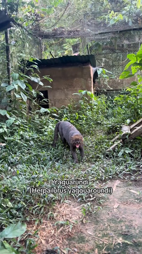 hO1KTRvsZNIqGad3.jpg