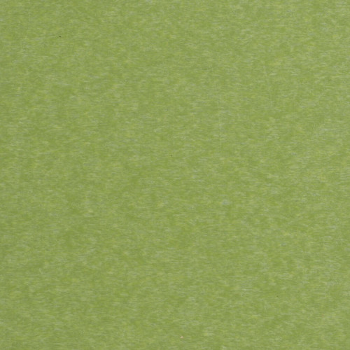 Lime Green 1024x1024.jpg