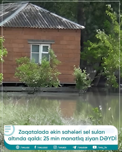 496932393 719948380689297 3377592982376926897 n.jpg?stp=dst jpg s640x640 tt6& nc cat=108&ccb=1 7& nc.jpg