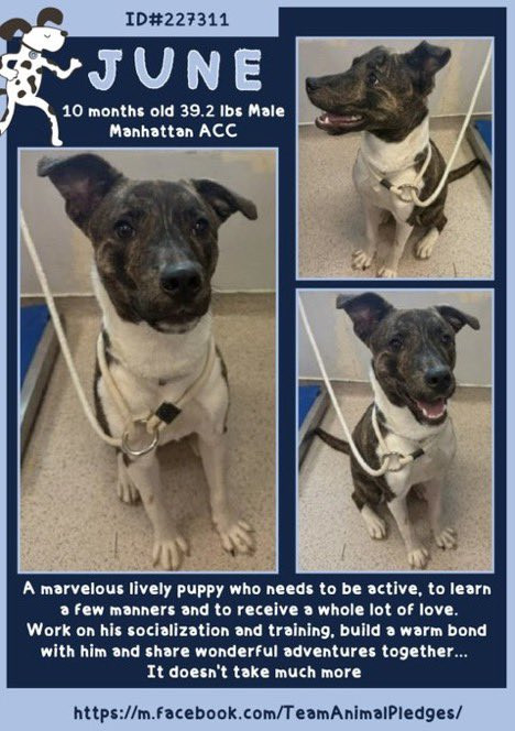 GrTXW dWQAARSsx.jpg