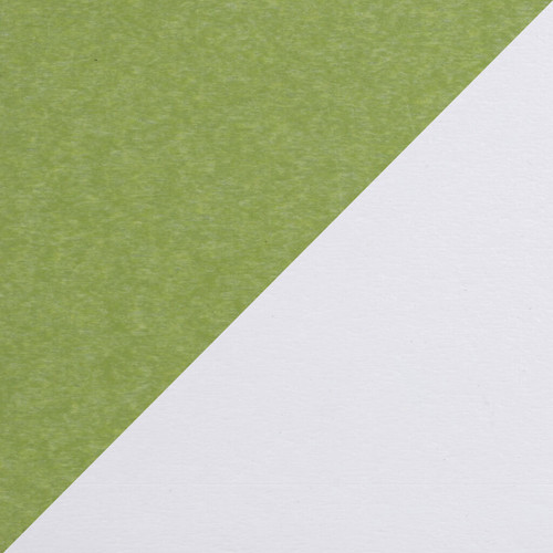 Lime Green White 1024x1024.jpg