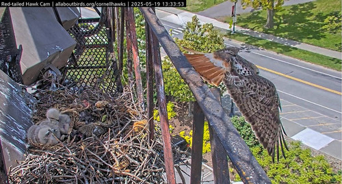 GrVdKrYXUAAZvy8.jpg