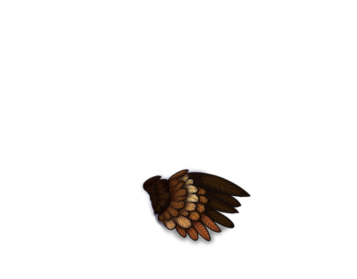 tigon wing Y.png