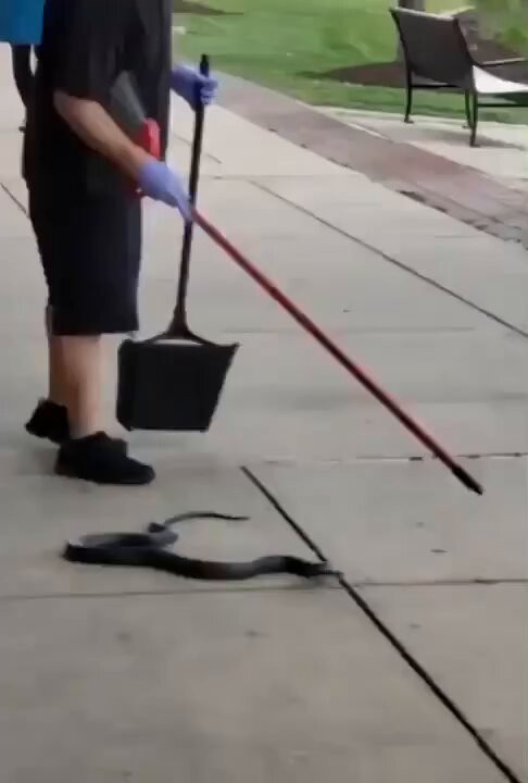 6LfgbD w7VDaMMA4.jpg