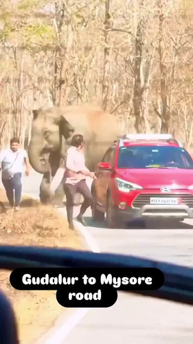 g 29inxqXowywvWE.jpg