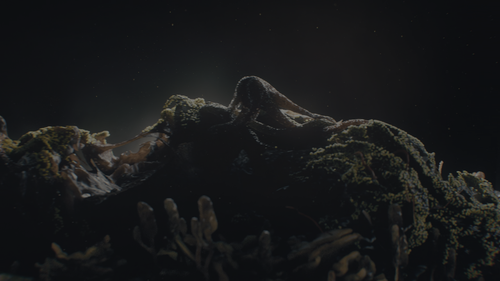 The.Last.of.Us.S02E06.2160p.MAX.WEB DL.DDP5.1.Atmos.DV.HDR.H.265.DUAL BiOMA 001.png