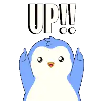 up arrow.webp