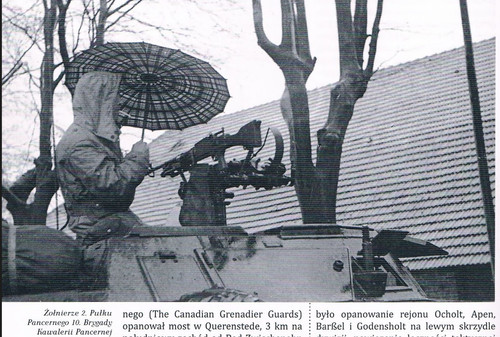 parasol (2)