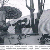 parasol (2)