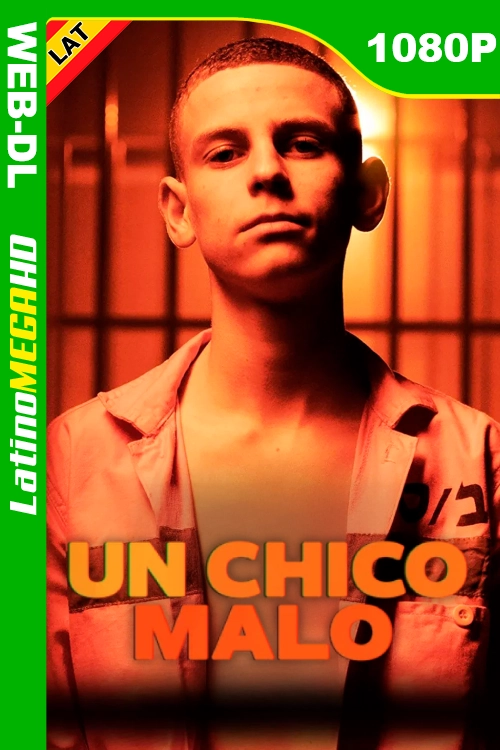 Un chico malo (Serie) Temporada 1 (2023) Latino HD NF WEB-DL 1080P