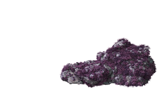 Untitled design (4).png