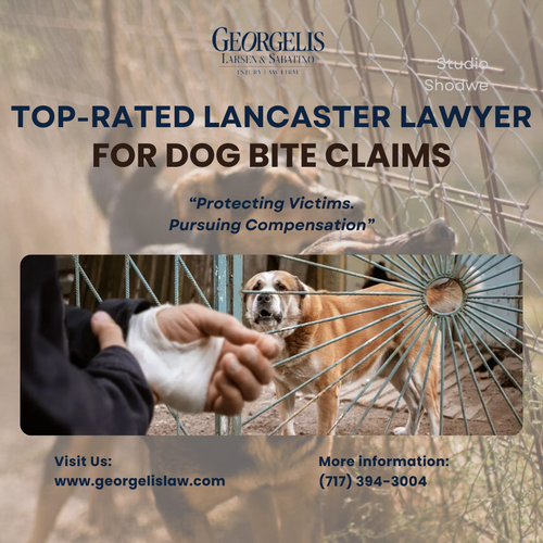 Top-Rated Lancaster Lawyer for Dog Bite Claims.png